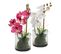 Vase ORCHIDEE COMPO Blanc/Violet