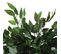 Plante artificielle H120 cm FICUS Vert / Noir