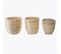 Lot De 3 Pots De Fleurs En Rotin