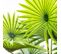 Plante Artificielle En Pot "palmier" 120cm Vert