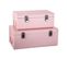 Lot De 2 Cantines Enfant - Malle En Métal Rose