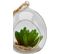 Boule verre cactus  Vert