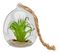 Boule verre cactus  Vert