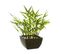 Plante Artificielle Bambou En Pot H 35 Cm