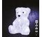 Objet lumineux OURS LED Blanc