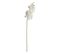 Tige H. 108 cm ORCHIDEE Blanc