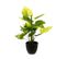 Plante Verte Artificielle En Pot H 45 Cm