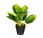 Plante Artificielle En Pot H 30 Cm