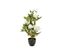 Plante Artificielle Rosier 4 Roses Et 6 Boutons En Pot H 50 Cm