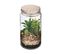 Plante Artificielle Terrarium En Verre Et Bois H 22 Cm