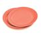 Lot De 20 Assiettes En Carton "vitamine" 23cm Terracotta