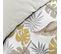 Housse De Couette 240 X 220 Cm Coton 57 Fils + 2 Taies Moana