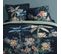 Parure De Lit Midnight Velvet 240x220