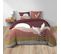 Housse De Couette 260 X 240 Cm Coton 42 Fils + 2 Taies Canyon