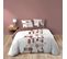 Housse De Couette 260 X 240 Cm Coton 42 Fils + 2 Taies Chilipop Rose