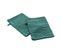 Lot De 2 Gants De Toilette "madeira" 15x21cm Emeraude