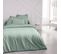 Drap Plat Pour Lit 2 Personnes Uni Essential En Coton - Vert - 240 X 300 Cm