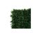 Rouleau Haie Artificielle Jet7garden 1,00x3m - Vert Thuya - 140 Brins Lux 2r