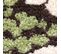 Tapis Motifs Fleurs Chocolat Vert 160x230 - Nature