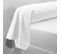 Taie D'oreiller Coton Sanitized®  Blanc  - 85 X 185