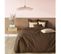 Housse De Couette Coton Tertio®  Chocolat -260 X 240