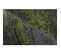 Tapis De Salon Ivo En Polyester - Vert - 160x230 Cm