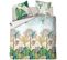 Parure Housse De Couette Coton - Ara Housse De Couette 240x220 + 2 Taies 65x65 Vert Foret