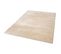 Tapis Luxe Designer Titane En Viscose - Beige Clair - 200x300 Cm