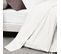 Drap Plat Uni 270x310 Cm Coton Alto Blanc