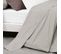 Drap Plat Uni 180x290 Cm Coton Alto Chamois