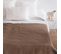 Couverture Pure Laine Vierge Woolmark 500g/m² Volta 220x240 Cm Marron Chamois