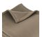 Couverture Polaire 240x260 Cm 100% Polyester 350g/m2 Teddy Marron Taupe