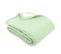 Couverture Polaire Luxe 220x240 Cm 100% Polyester 430g/m2 Narvik Vert Tilleul