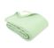 Couverture Polaire Luxe 240x260 Cm 100% Polyester 430g/m2 Narvik Vert Tilleul