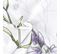 Housse De Couette 240x220 Cm Coton Foliflora Blanc