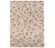 Lot De 2 Torchons De Cuisine Toile 50x70 Cm Coton Bing Marron