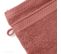 Lot De 2 Gants De Toilette Coton 550g/m2 Collection Naïa Rose Pêche