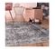 Tapis De Salon Vintage Lavable En Machine Ariana Gris 115x170