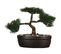 Bonsai Artificiel En Pot - H. 23 Cm