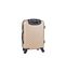 Valise Cabine Pet Denver  55 Cm