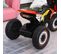 Tricycle Enfants Moto Cross Effets Musicaux Et Lumineux Coffre Rangement