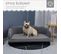 Lit Canapé Chien Chat Design Contemporain Coquillage