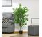 Plante Artificielle Ficus H1,35 M Tronc Liane Lichen Feuilles Réalistes Pot Inclus