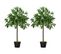 Lauriers Artificiels 0,90h M - Lot De 2 Lauriers Boules Artificiels Avec Pots