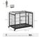 Cage Chiens Pliable Sur Roulettes 2 Portes Verrouillables Métal Gris Noir