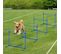 Agility Sport Pour Chiens Set De 4 Obstacles Professionnels