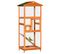 Volière Cage à Oiseaux Multi-équipée Bois Sapin Pré-huilé