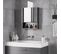 Armoire Murale Salle De Bain Miroir Acier Inox. Noir