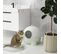 Maison De Toilette Pour Chat Design Boule Pp Vert Blanc