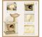 Arbre à Chat Style Cosy Chic 2 Coussins Inclus Quenouille Sisal Naturel Beige